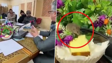 Rat Attends Meeting With Other Busy Group of People, Happily Munches on a Piece of Cake in Viral Video  